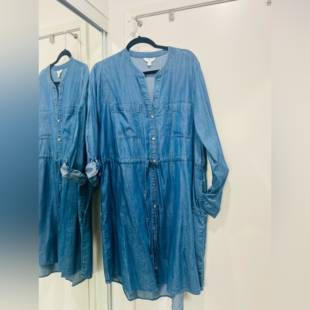 Time and Tru Chambray Dress